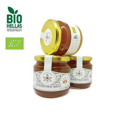 Griechischer Bio - Kastanienhonig (450g) Arkadiko Meli - Araxxon